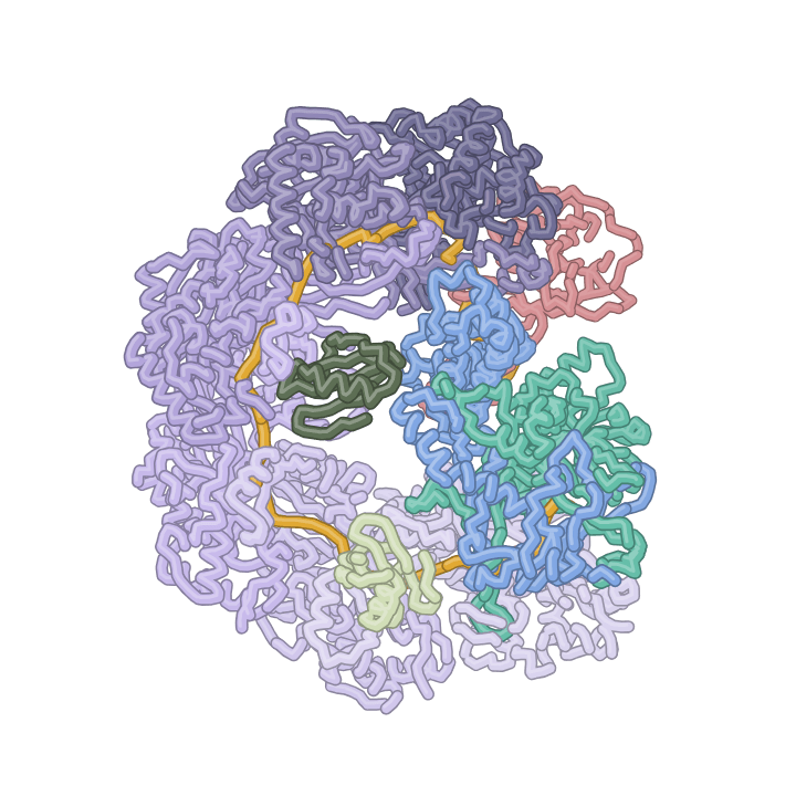 PDB 6W1X: Anti-CRISPR AcrIF9 bound to the Csy complex