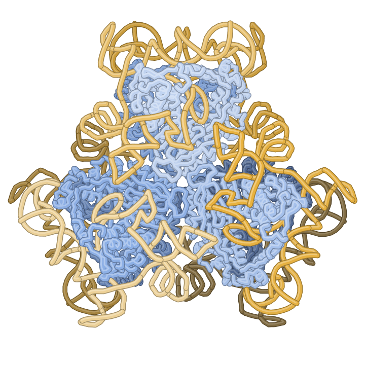 PDB 9NLV: SenDRT9 RT–ncRNA hexamer
