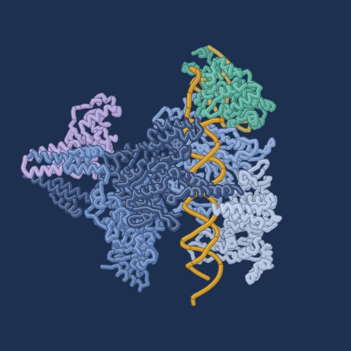 3D model of PDB 9N6B: Retron I-A complex, HNH nuclease “up”
