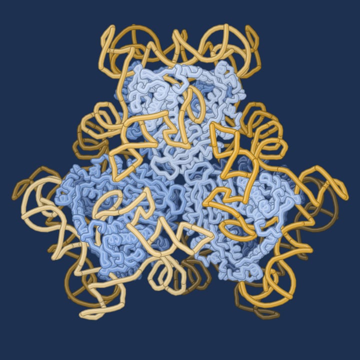 3D model of PDB 9NLV: SenDRT9 RT–ncRNA hexamer